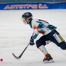 Хоккей с мячом. X зимняя Спартакиада учащихся России